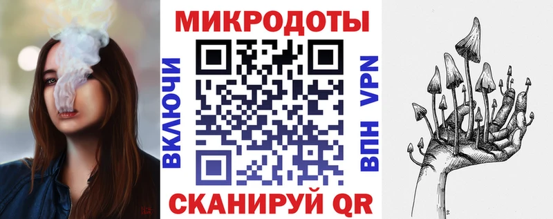 гидра как войти  Новая Ладога  Галлюциногенные грибы Psilocybine cubensis  что такое  